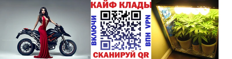 Магазин наркотиков Гороховец ГАШИШ гидра вход Меф мяу мяу