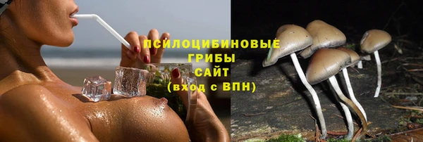 меф Богородск