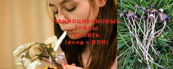 бошки Богданович