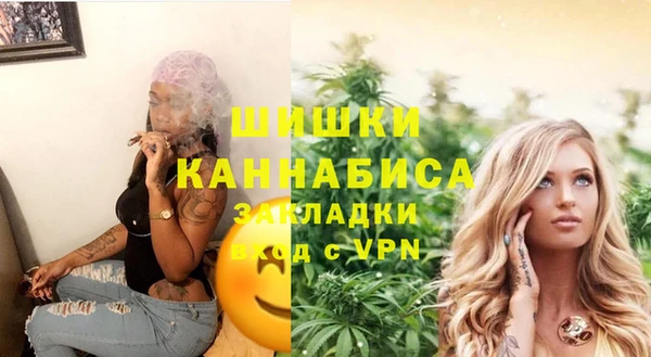 бошки Богданович